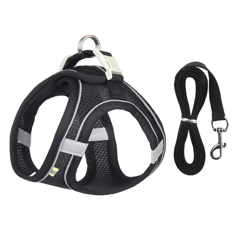 2 en 1 Harnais Réfléchissant + Laisse assortie pour Petit Chien