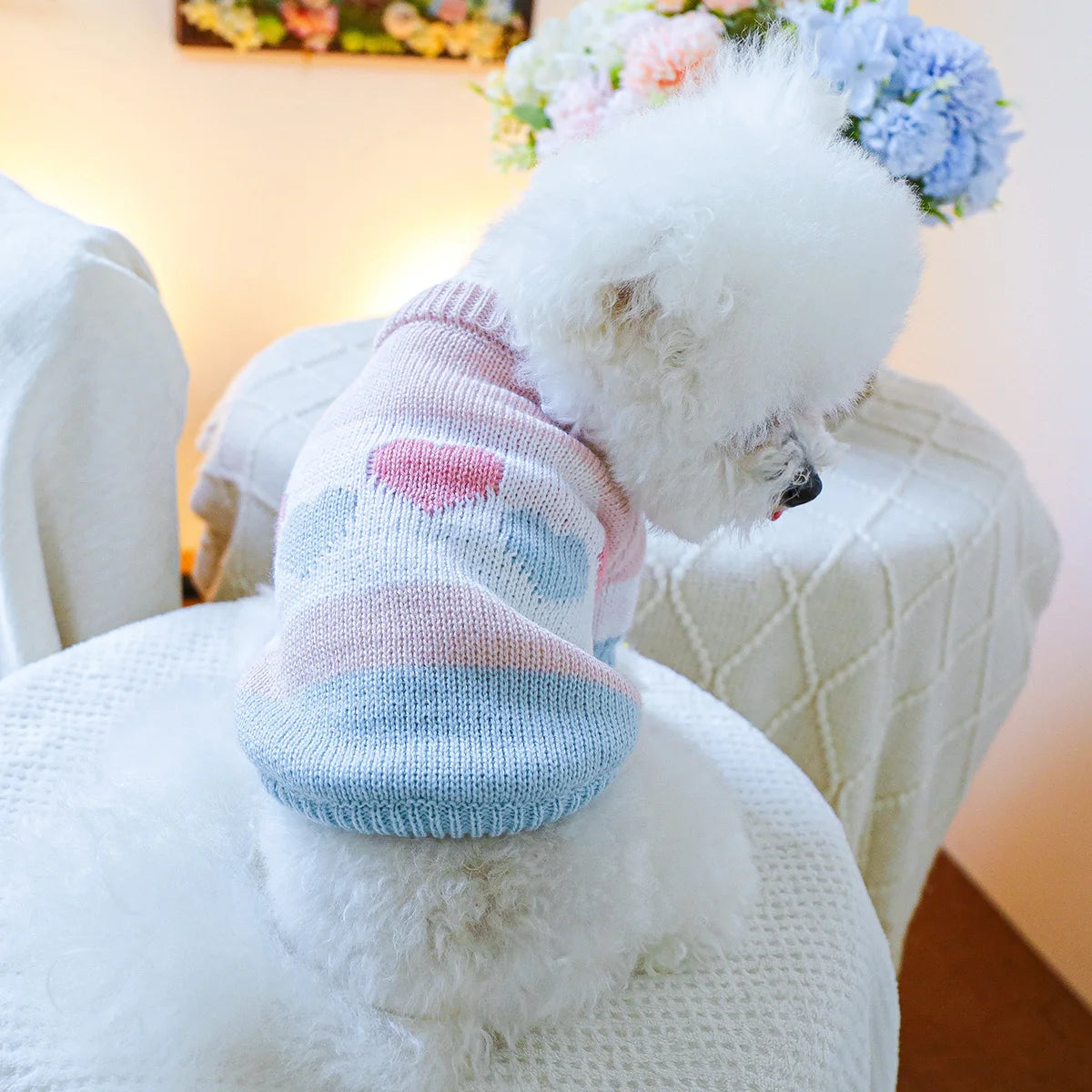 Pull Jacquard Rose et Bleu à Cœurs pour Petit Chien