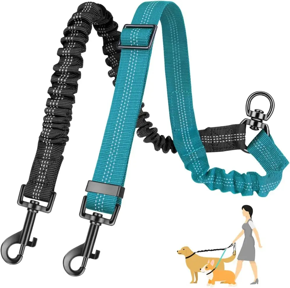 Rallonge Double Réglable & Élastique ColorDuo pour Laisse Chien