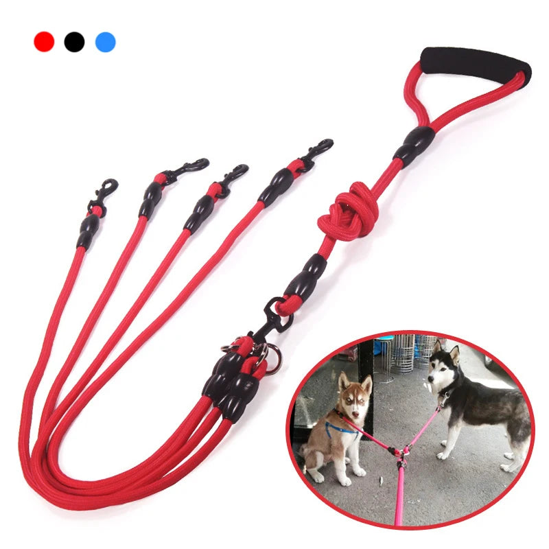 Laisse Double, Triple ou Quadruple Corde pour Chien