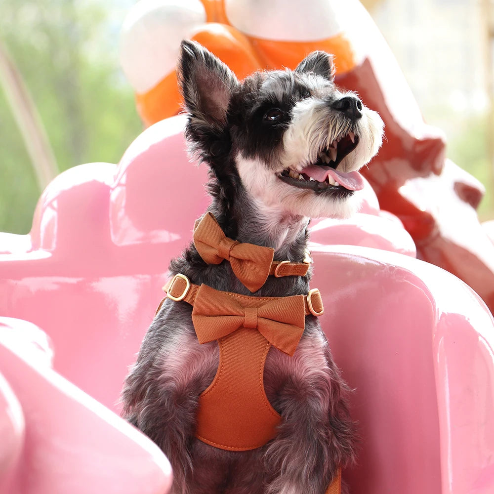 Pack 4-en-1 Harnais Nœud Papillon & accessoires pour Petit Chien