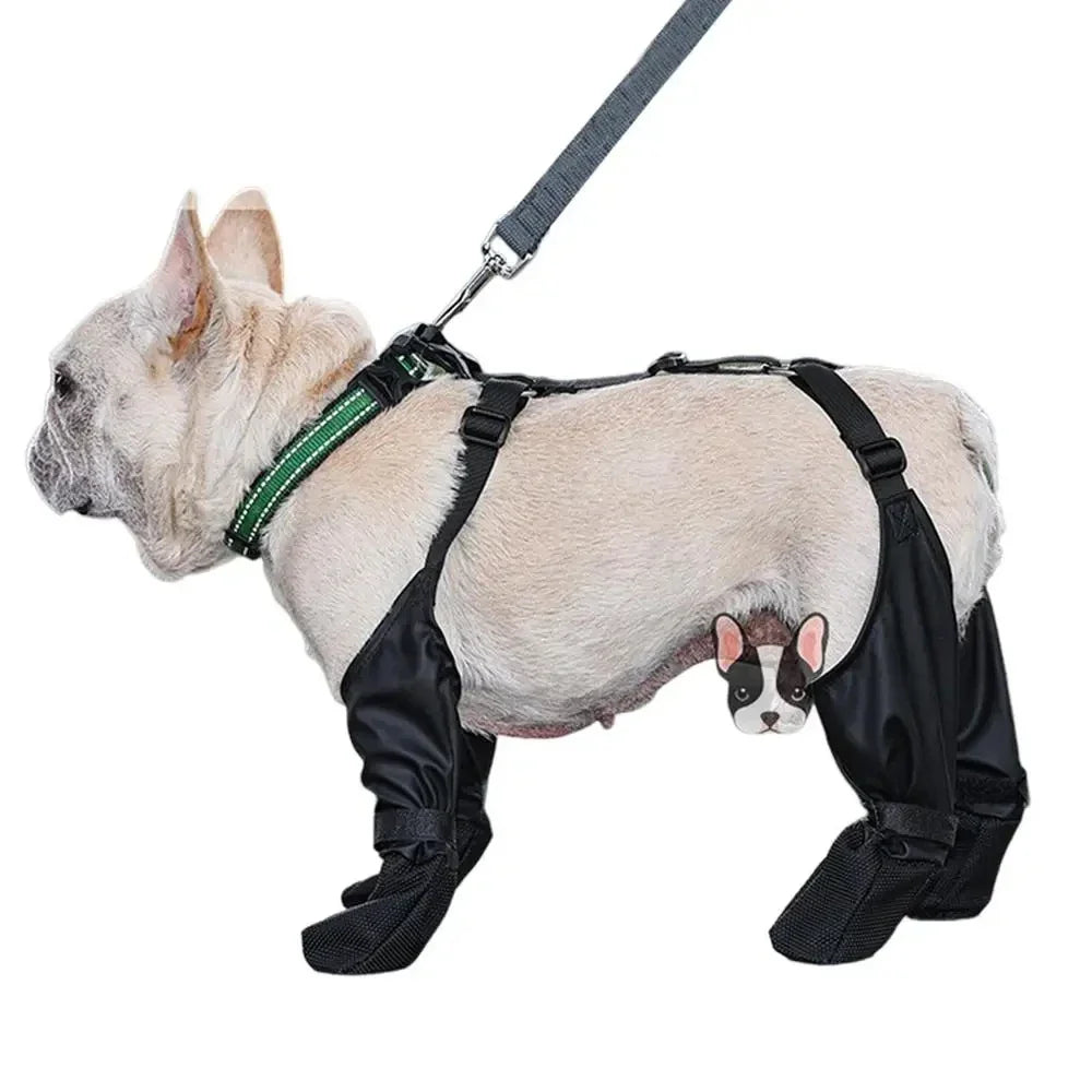 Chaussures Antidérapantes Réglables pour Chiens