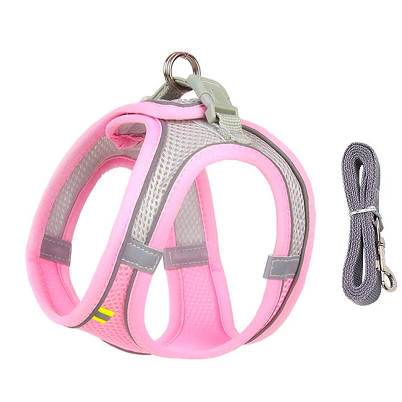 2 en 1 Harnais Réfléchissant + Laisse assortie pour Petit Chien