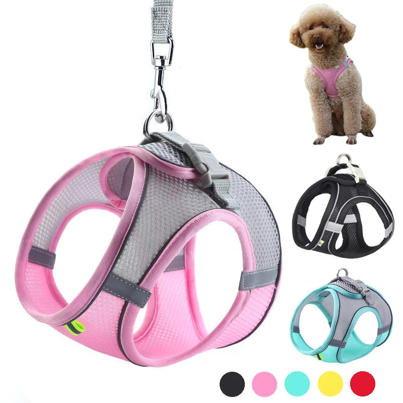 2 en 1 Harnais Réfléchissant + Laisse assortie pour Petit Chien