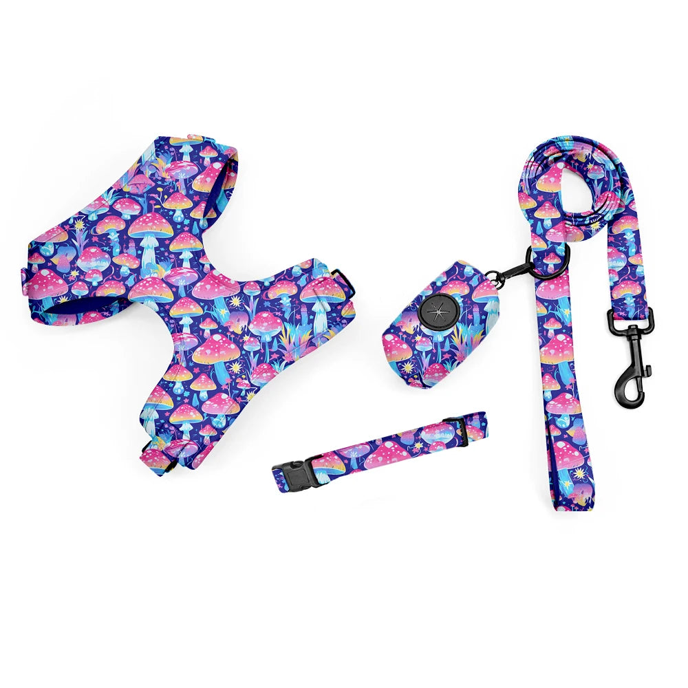 Pack 4-en-1 Harnais et accessoires pour Petit Chien