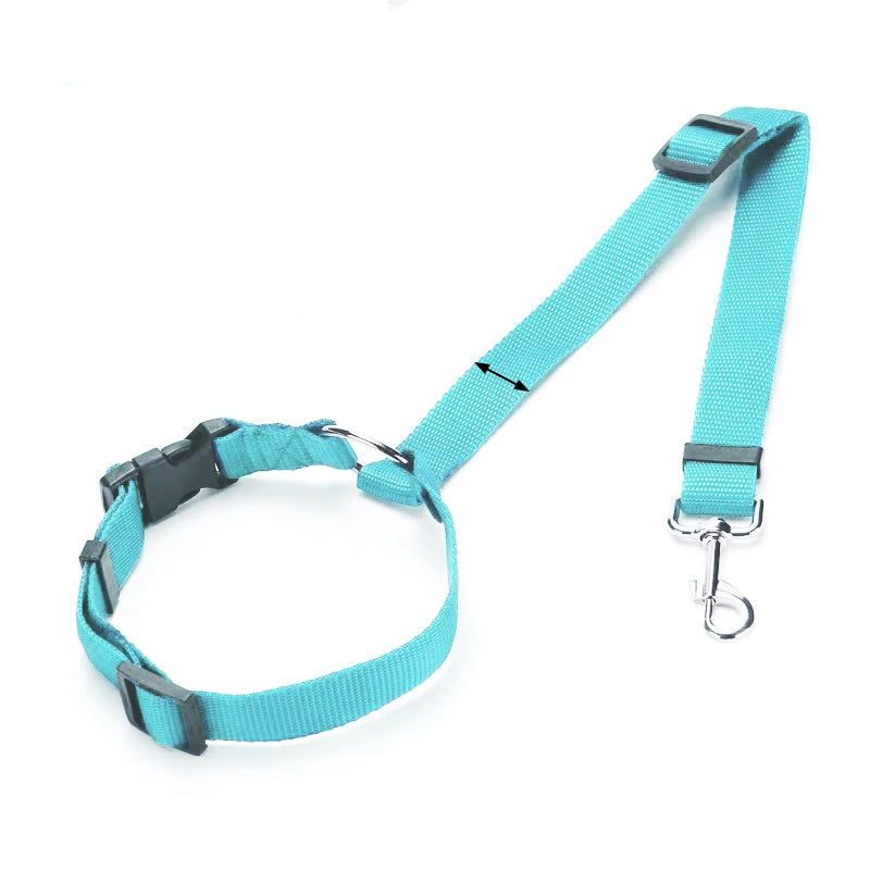 Ceinture de Sécurité & Laisse Voiture pour Chien
