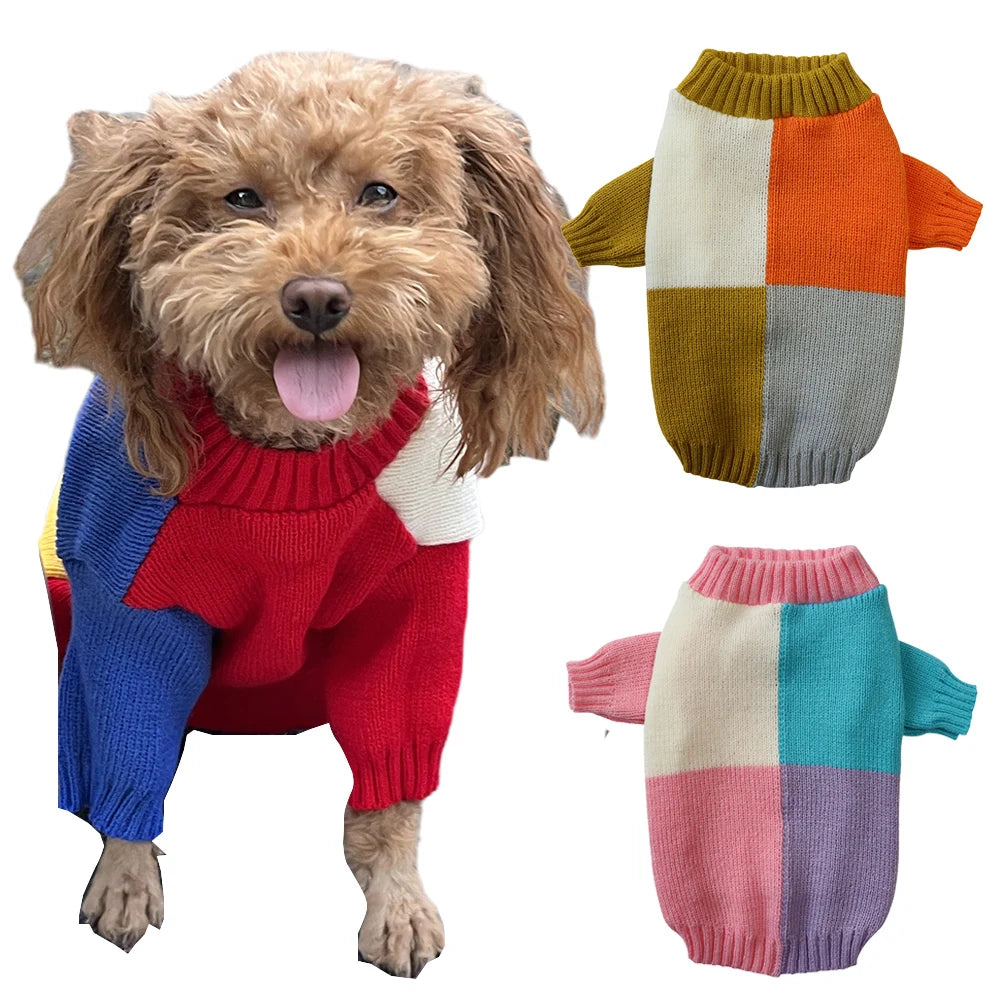 Pull Coloré à Carreaux pour Chien ou Chat