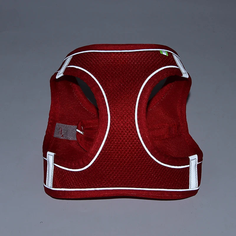2 en 1 Harnais Réfléchissant + Laisse assortie pour Petit Chien