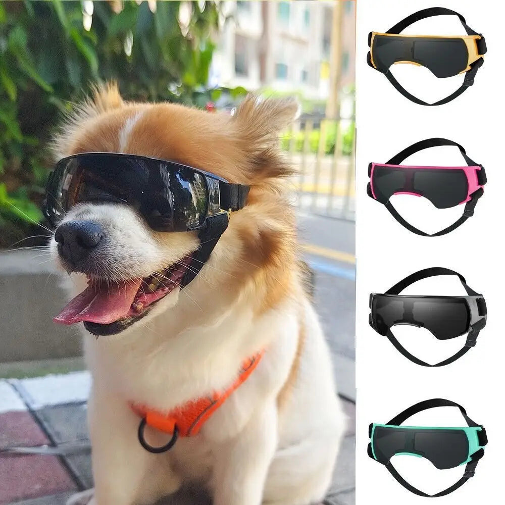 Lunettes de Soleil Ajustables pour Chiens de Petite Taille