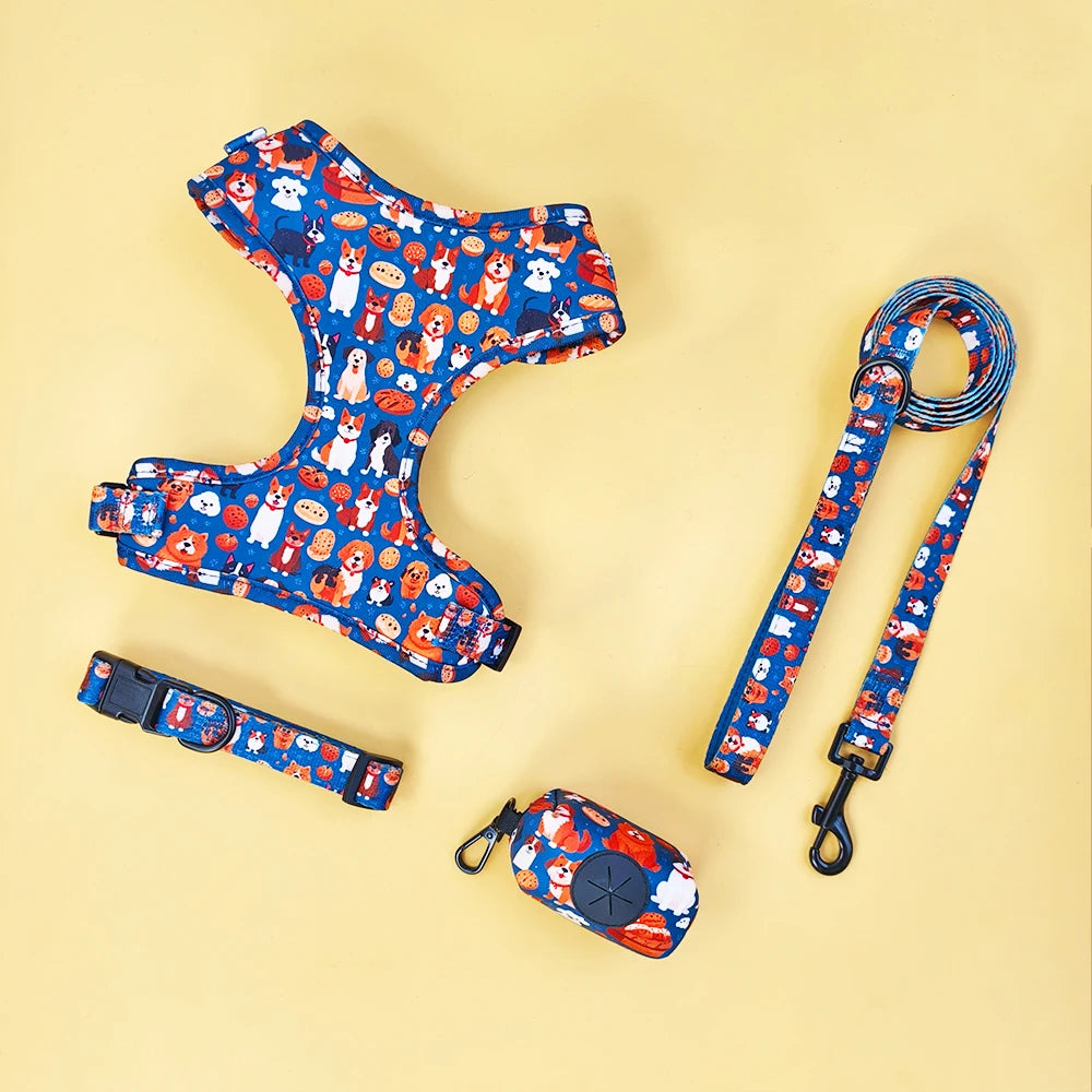 Pack 4-en-1 Harnais et accessoires pour Petit Chien
