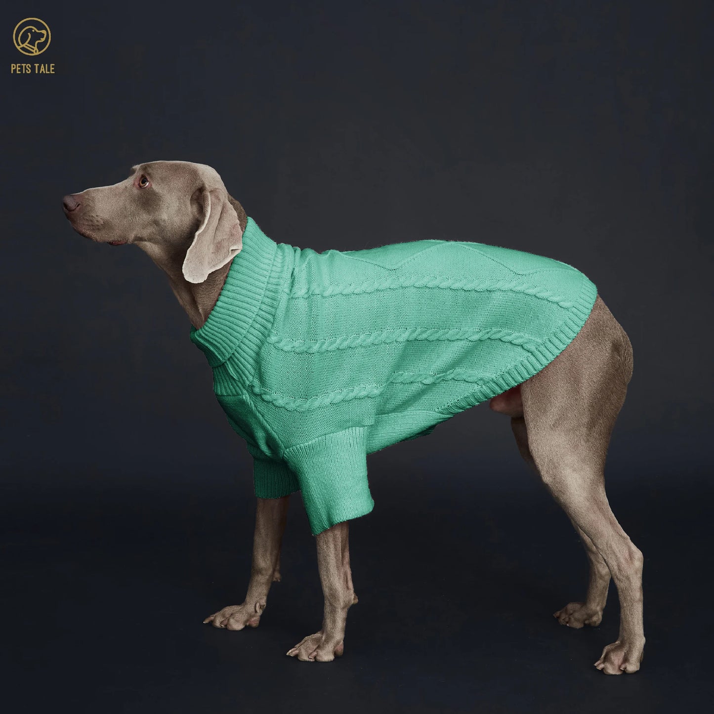 Pull Côtelé à Manches pour Chien – Tricot à Torsades et Fente Harnais