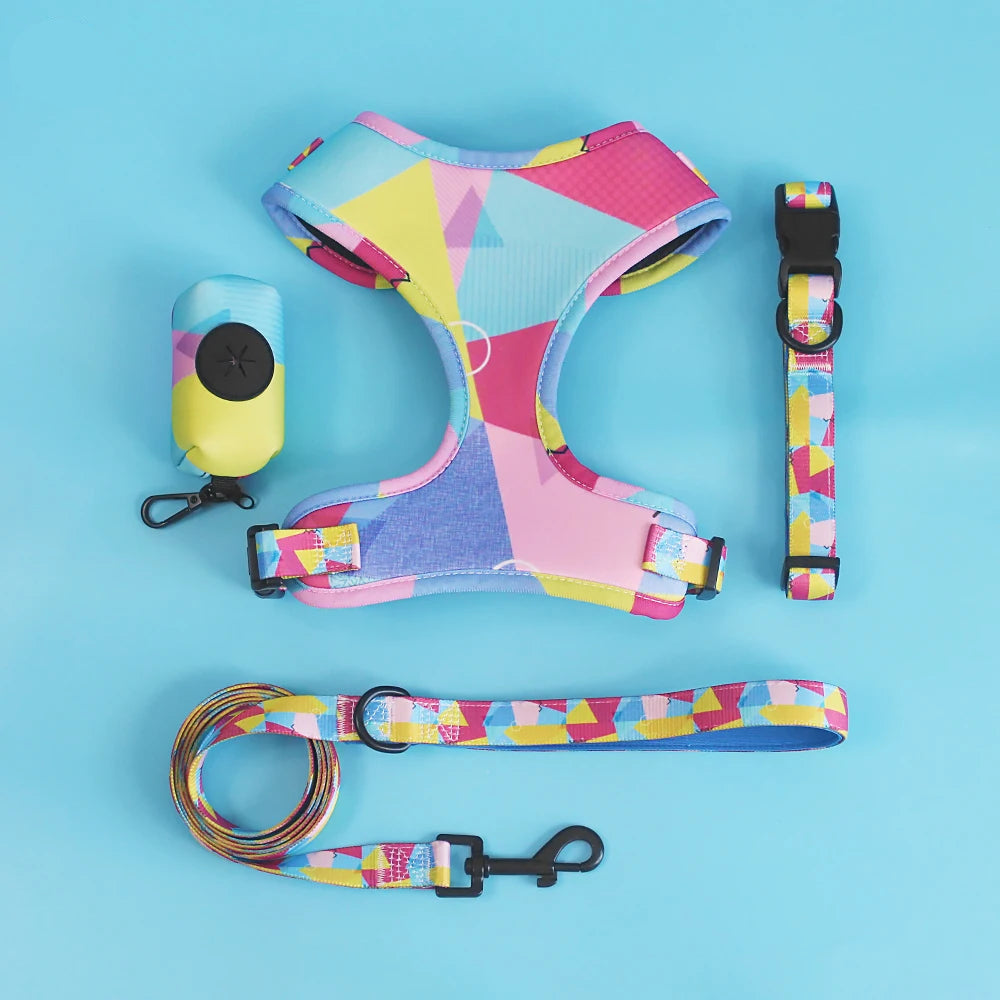 Pack 4-en-1 Harnais et accessoires pour Petit Chien