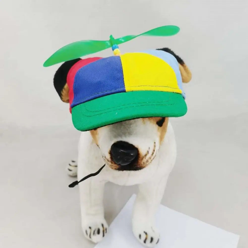 Casquette Hélice Colorée pour Chien et Chat