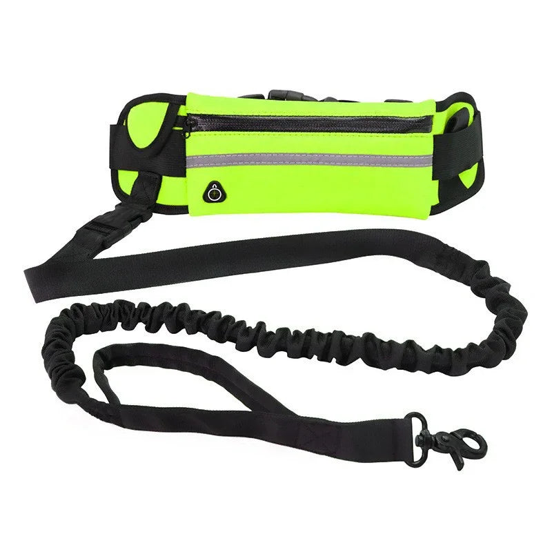 2 en 1 Laisse Mains Libres avec Sacoche Sportive pour Chien
