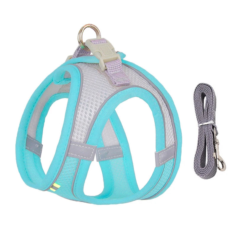 2 en 1 Harnais Réfléchissant + Laisse assortie pour Petit Chien