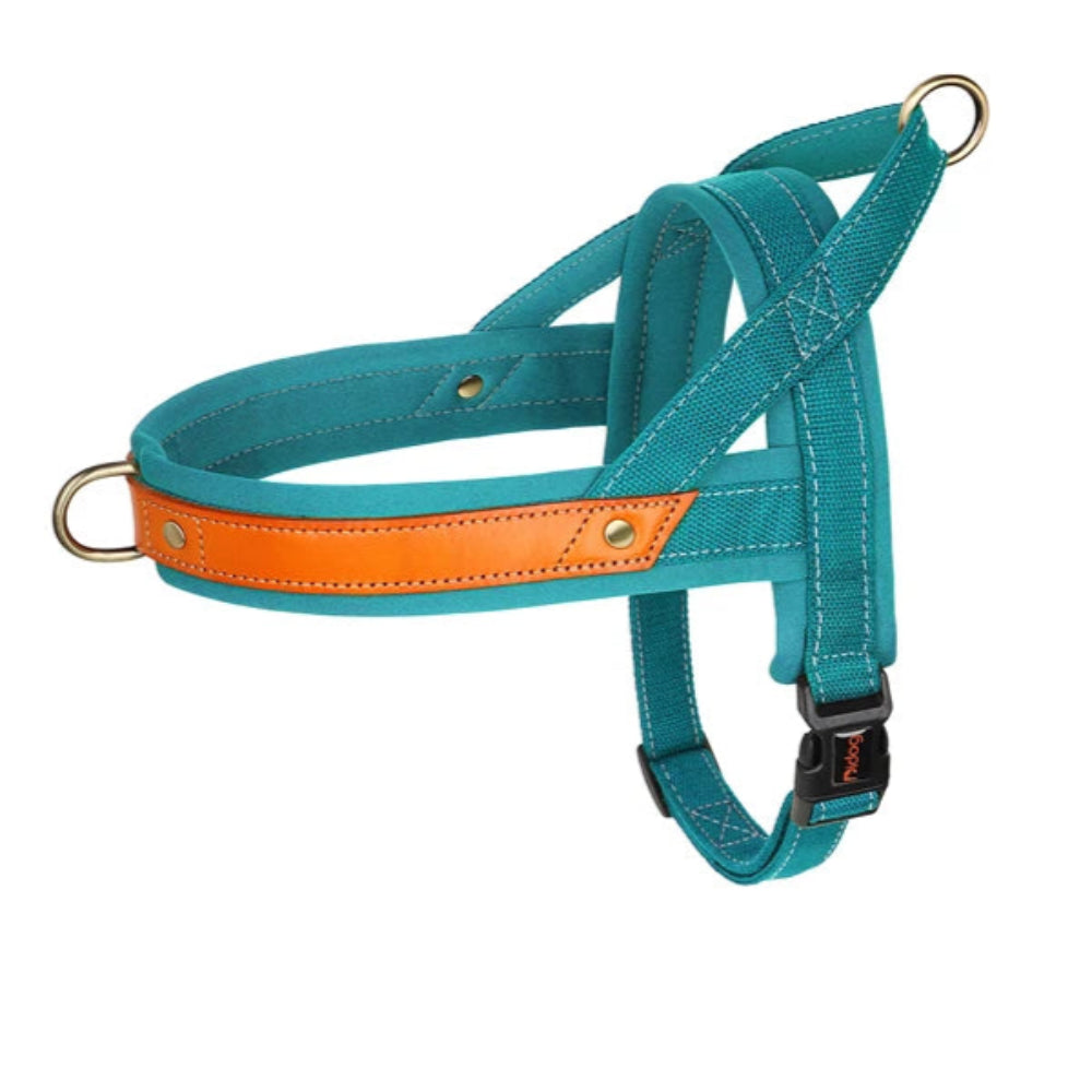 Harnais en Y Confort Anti-traction pour Chien