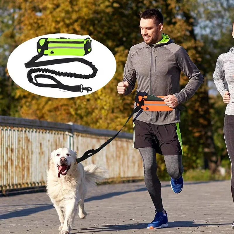 2 en 1 Laisse Mains Libres avec Sacoche Sportive pour Chien