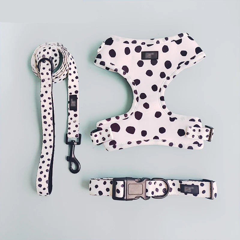 Pack 4-en-1 Harnais et accessoires pour Petit Chien