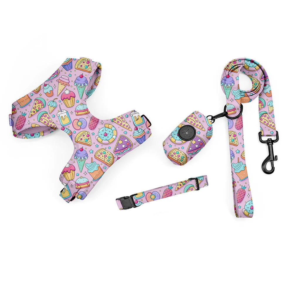 Pack 4-en-1 Harnais et accessoires pour Petit Chien