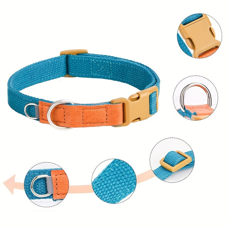 Collier Coloré style Casual pour Chien