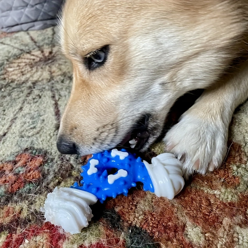 Jouet Triangulaire à Mâcher pour Chiens – Nettoyage Dentaire
