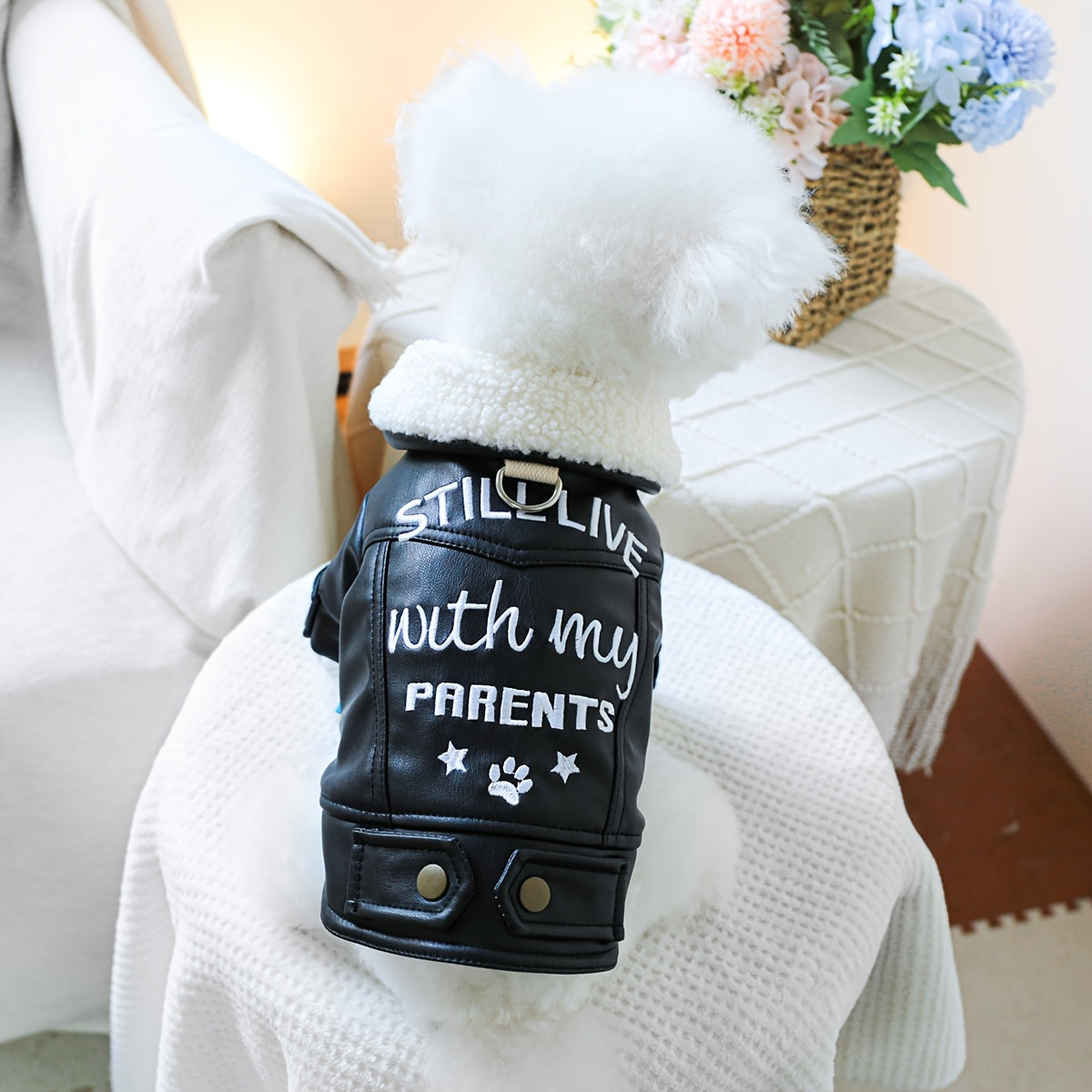 Veste Noire en Simili Cuir pour Chiens et Chats – Look Motard avec Doublure Mouton