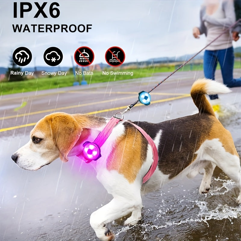 Médaille de Lumière de sécurité LED pour collier de Chien