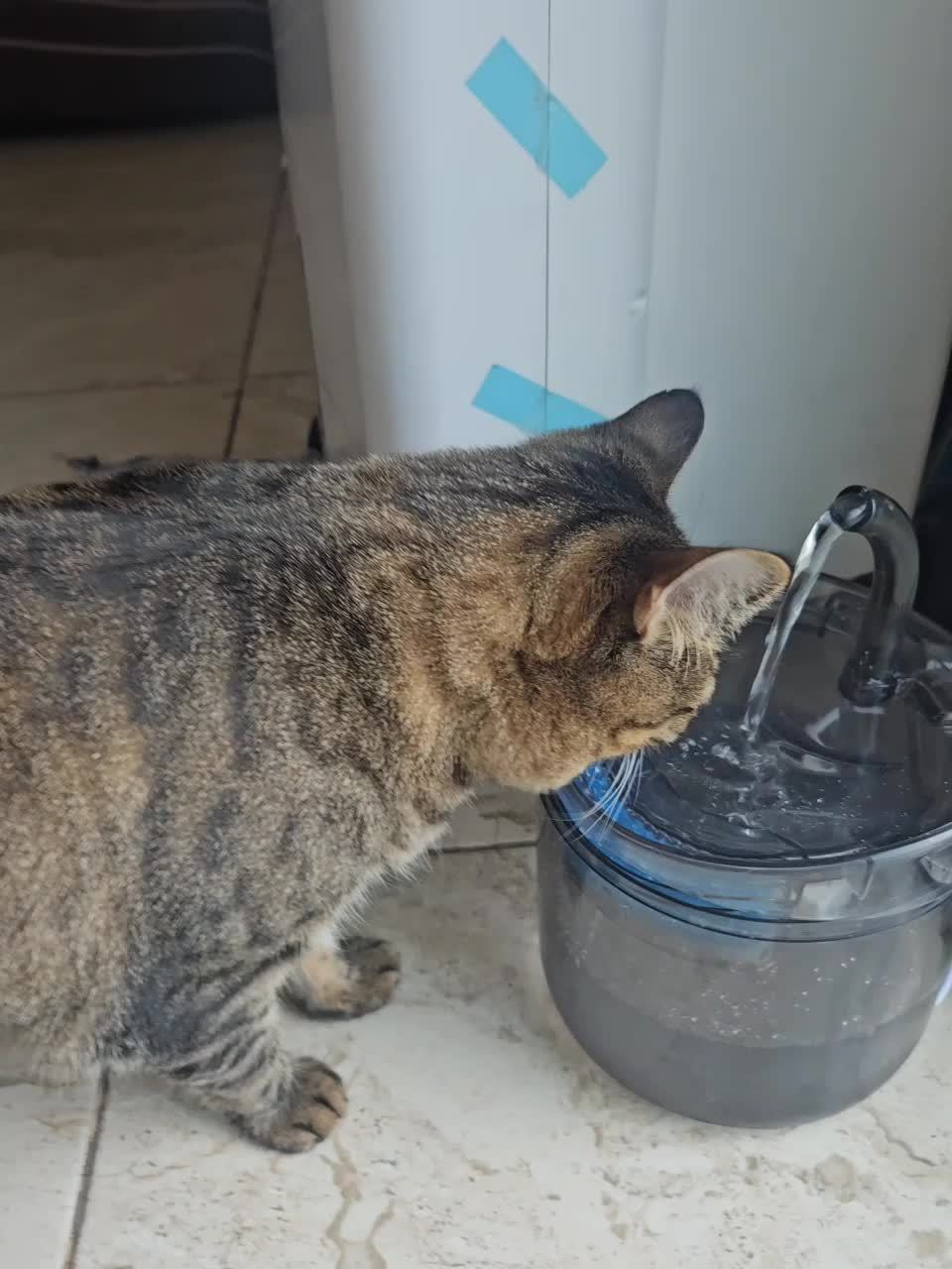 Fontaine 1,8L USB transparente pour Chat & Chien avec double mode