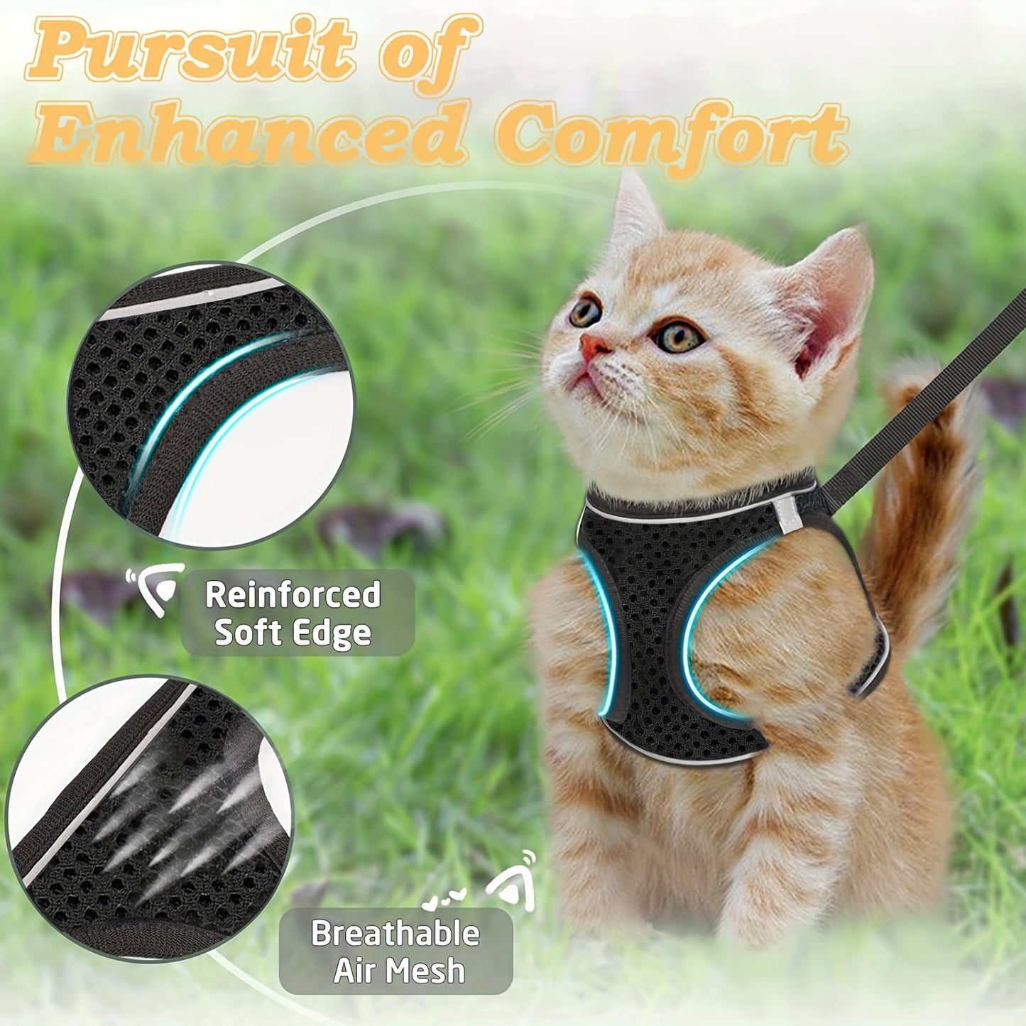 Harnais pour Chat Anti-Fuite avec Laisse