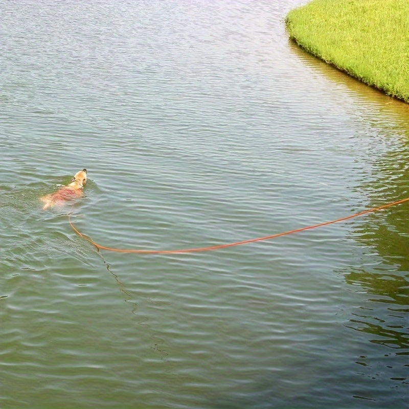 Longe d'Entraînement Ultra Résistante pour Chien – 5 à 25 mètres