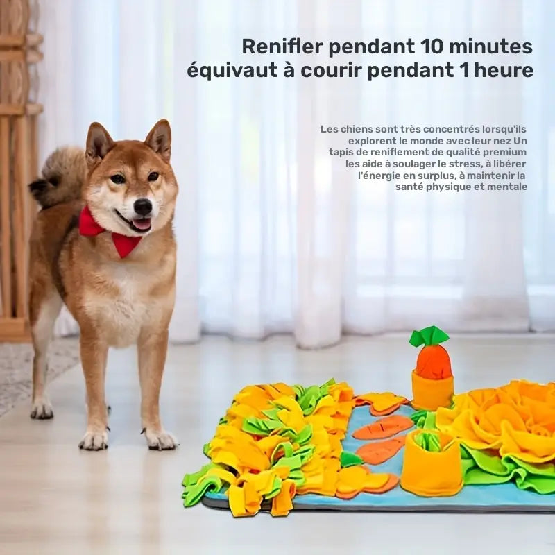 Grand Tapis de Fouille – Jouet de Recherche Olfactive pour Chien