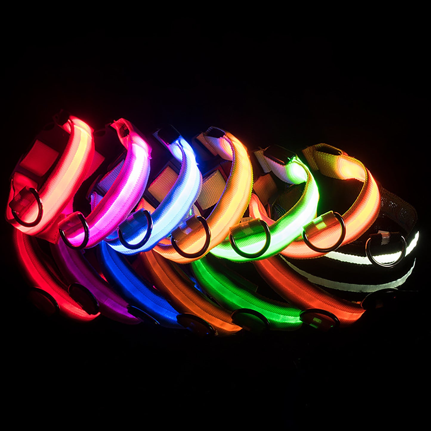 Collier lumineux ajustable pour Chien - sécurité de nuit
