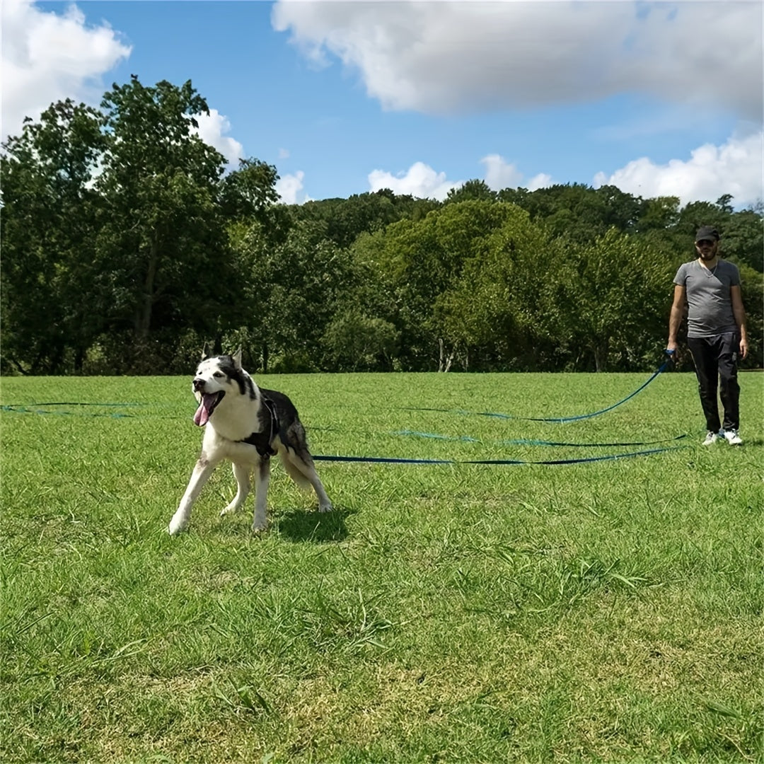 Longe Plate pour Chien – 3 à 9 mètres, couleurs variées