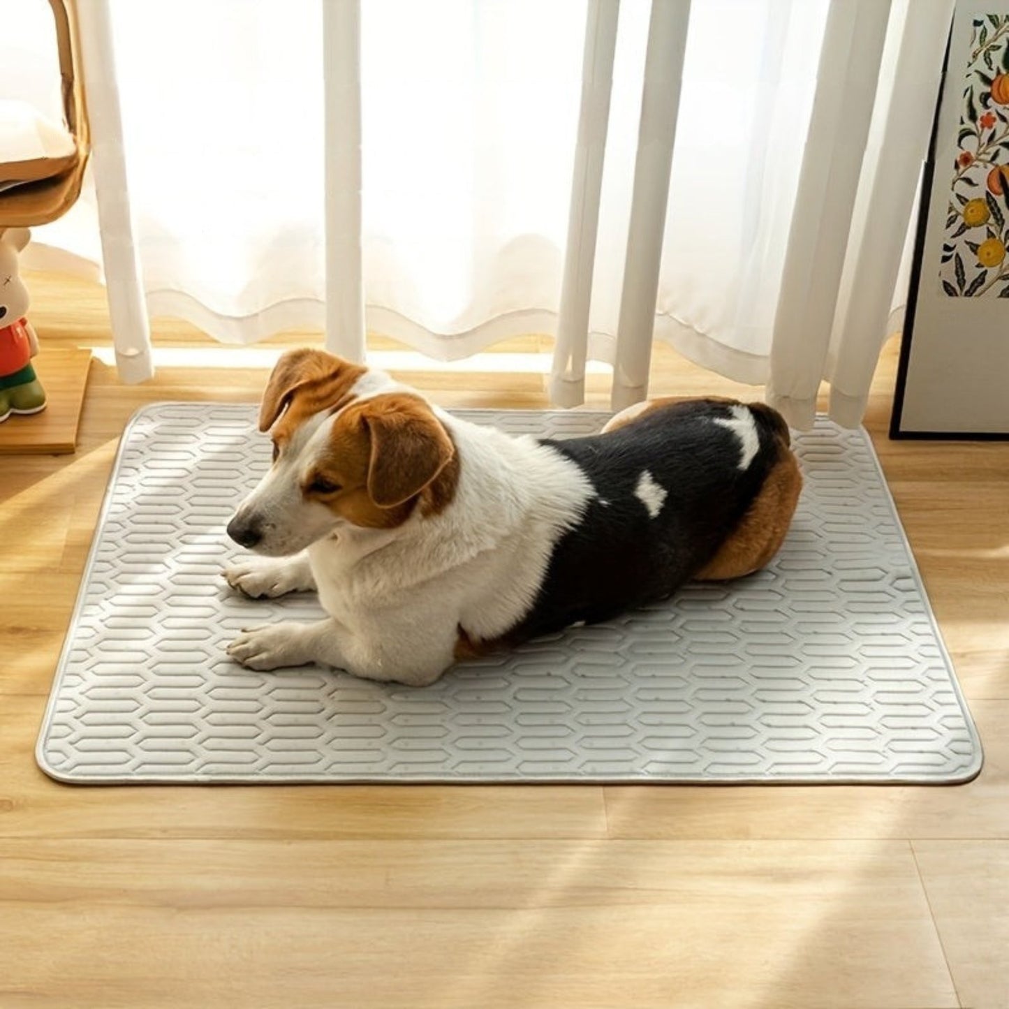 Tapis Rafraîchissant Matelas Estival Lavable pour Chiens et Chats