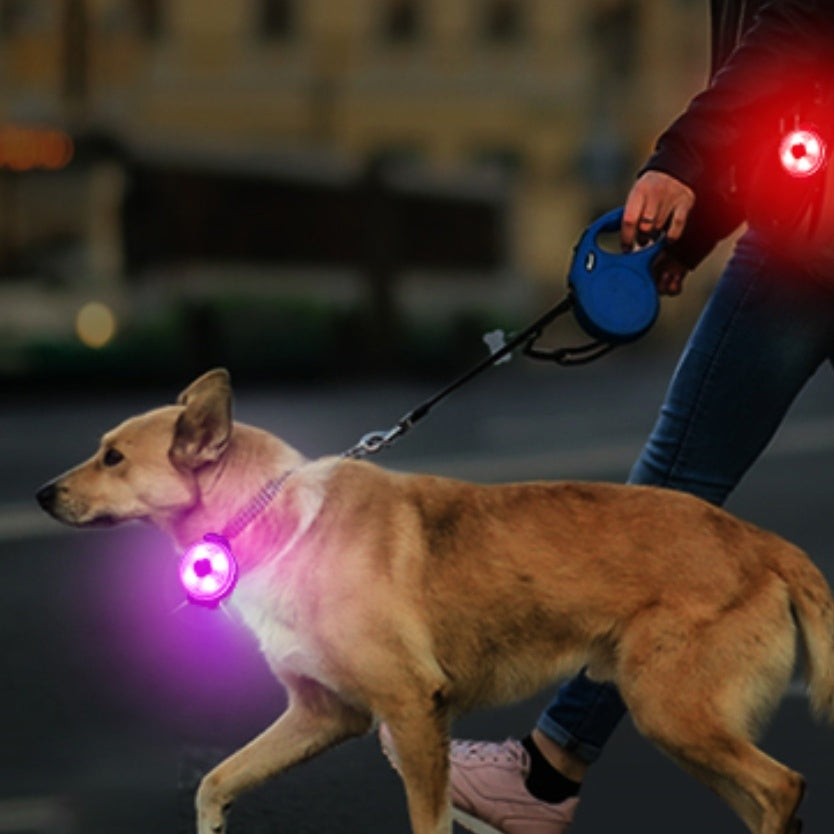 Médaille de Lumière de sécurité LED pour collier de Chien