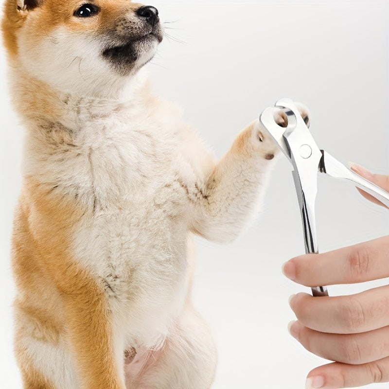 Coupe-Griffes Incurvé en Acier Inoxydable pour Chiens et Chats
