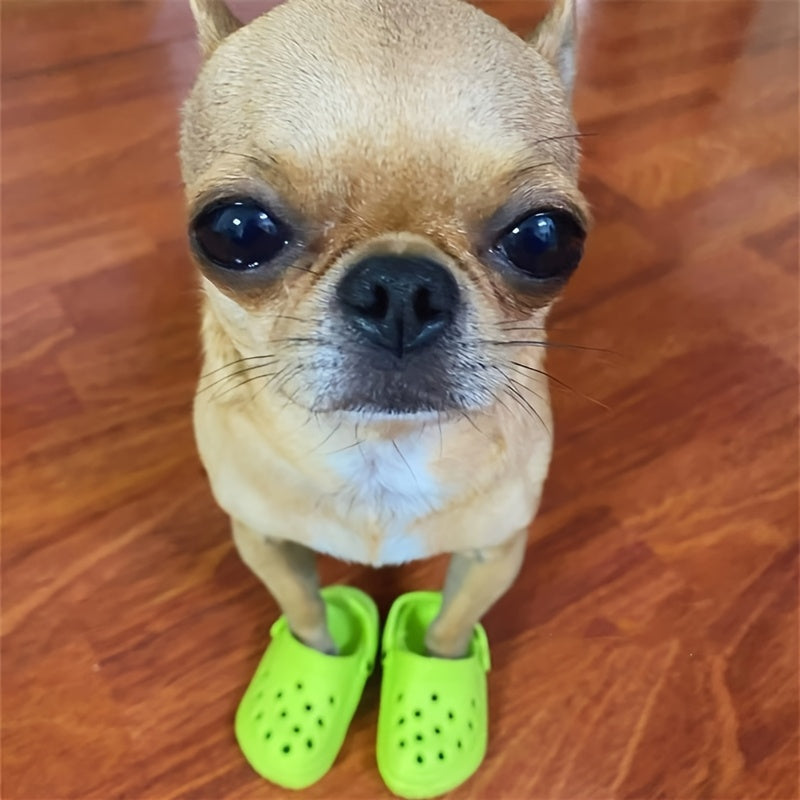 Paire de Sabots d’Été pour Chats et Petits Chiens – Sandales Miniatures Antidérapantes