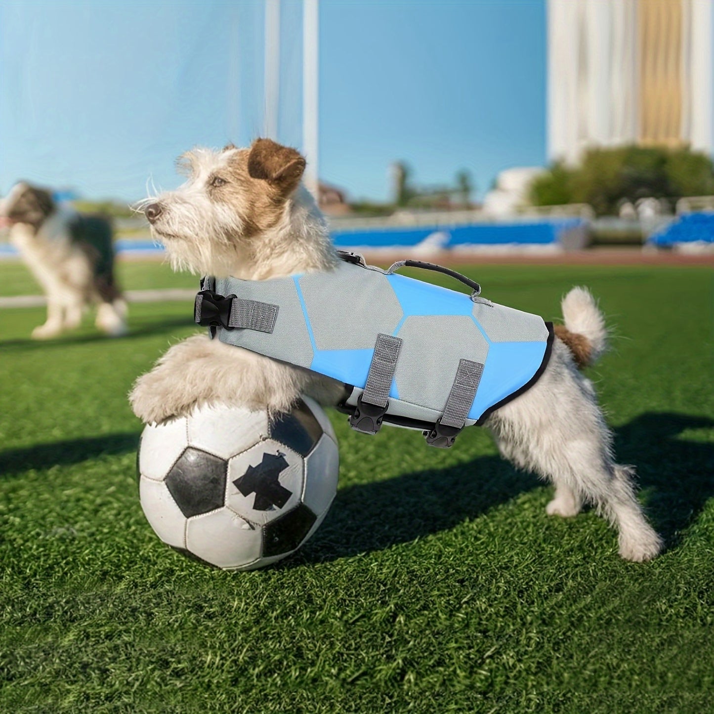 Gilet de Sauvetage pour Chien Motif Football