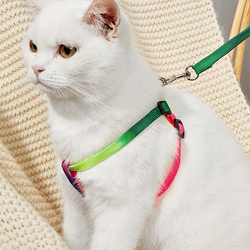 Harnais et Laisse Colorés pour Chat – Ajustable