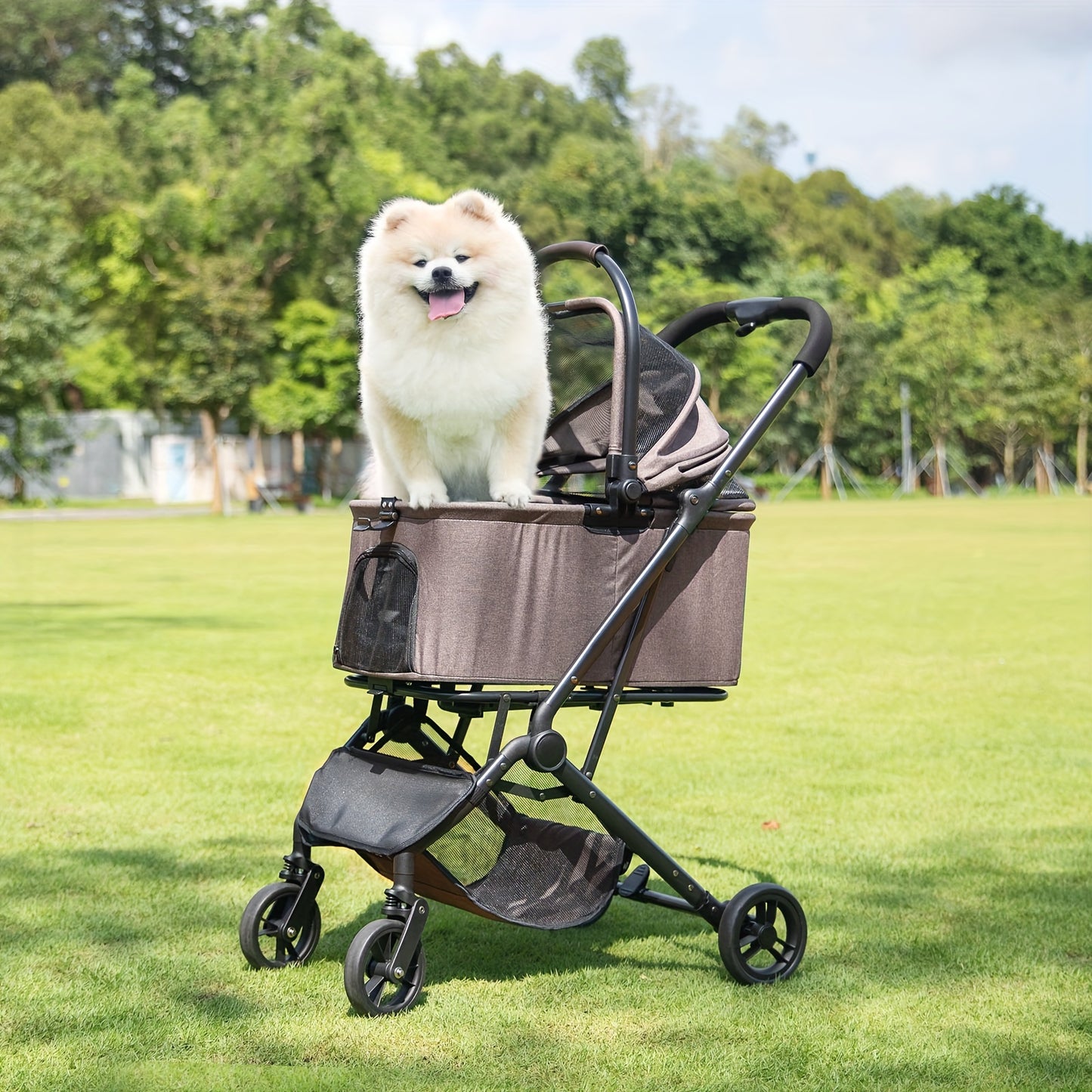 Poussette 2-en-1 pour Chats et Petits Chiens