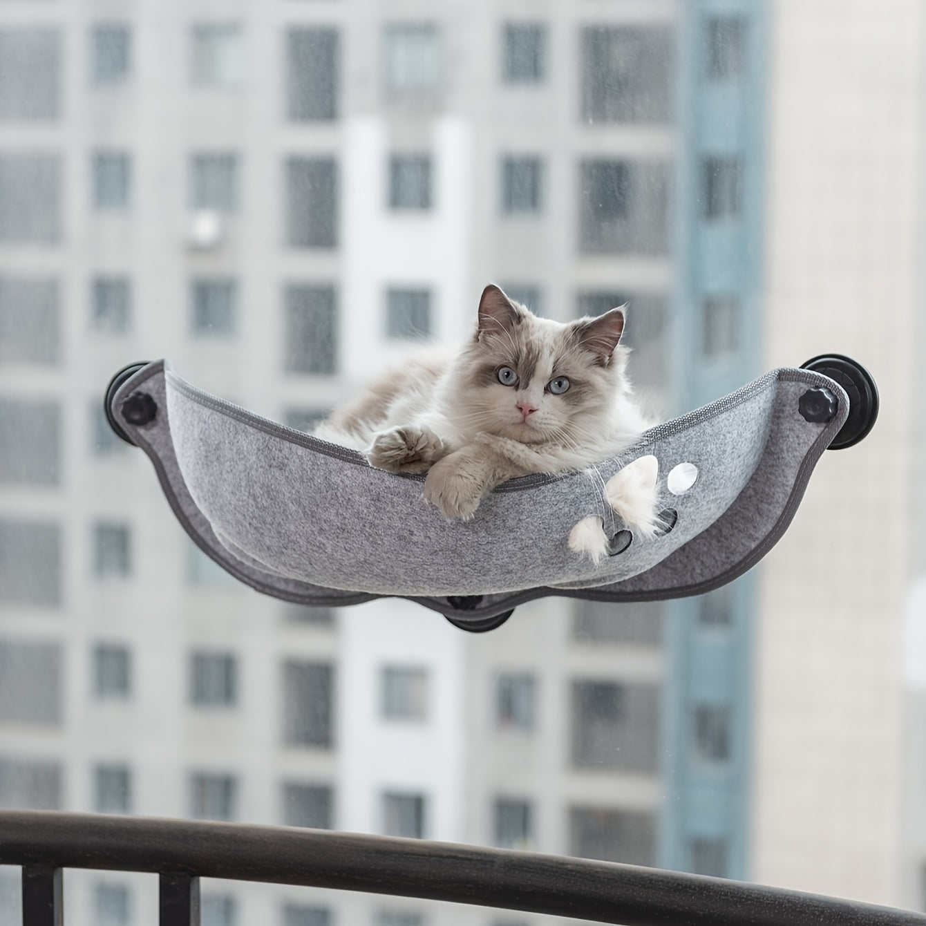 Hamac de Fenêtre en Forme de Croissant pour Chat