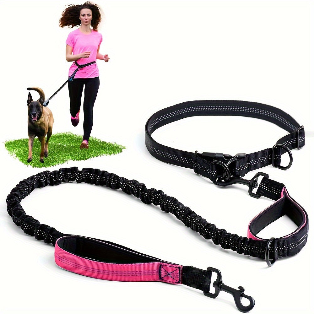 Laisse Elastique Mains Libres pour Chien