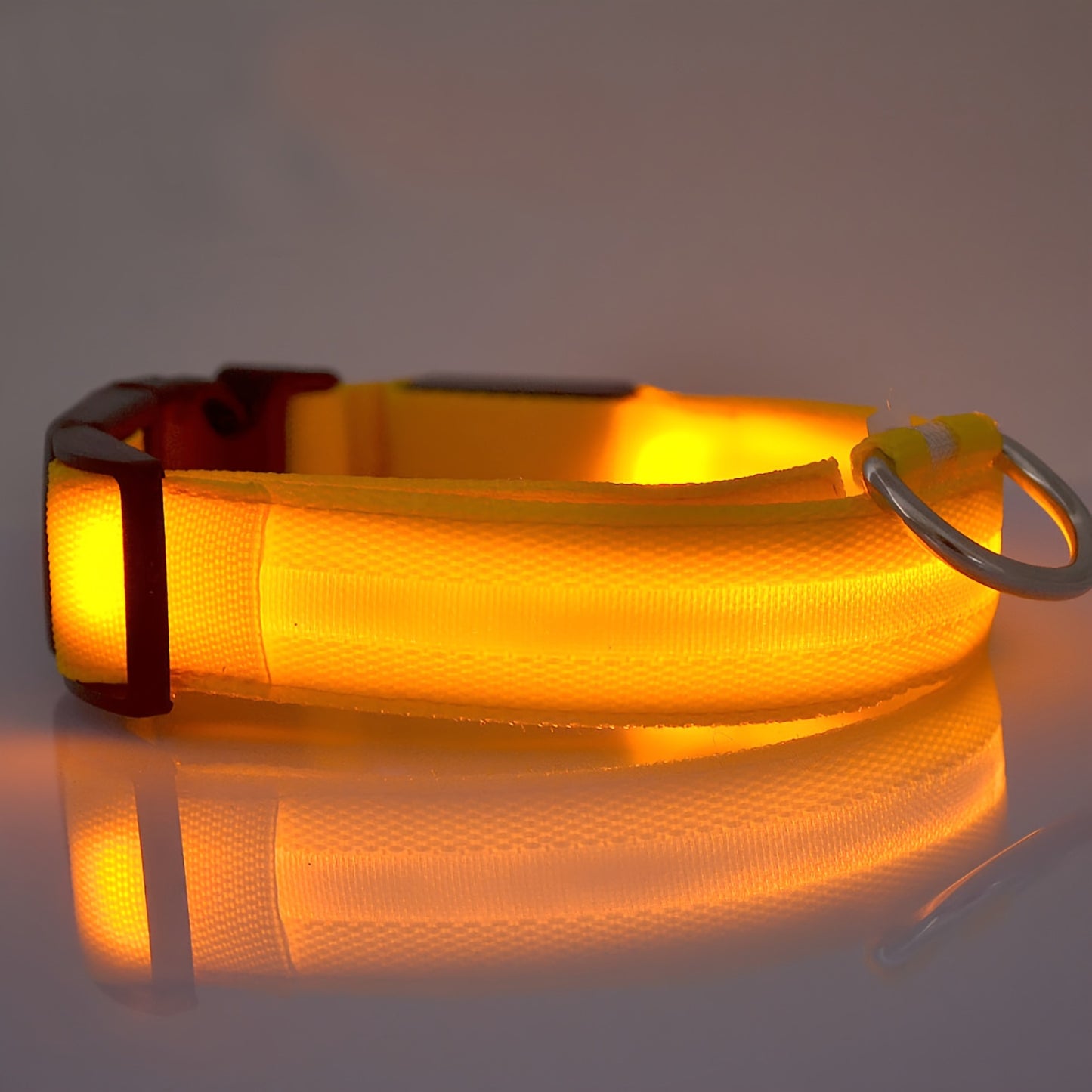Collier lumineux ajustable pour Chien - sécurité de nuit