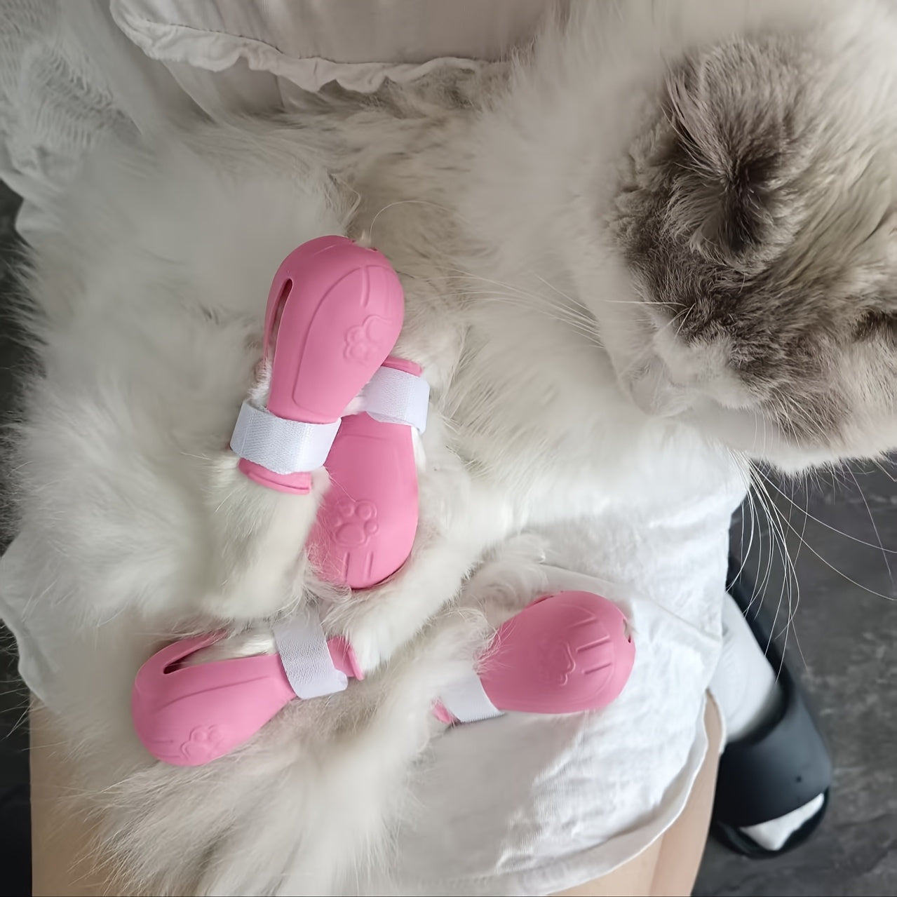 Protège-Pattes en Silicone pour Chats – Chaussures Antidérapantes Anti-Griffures