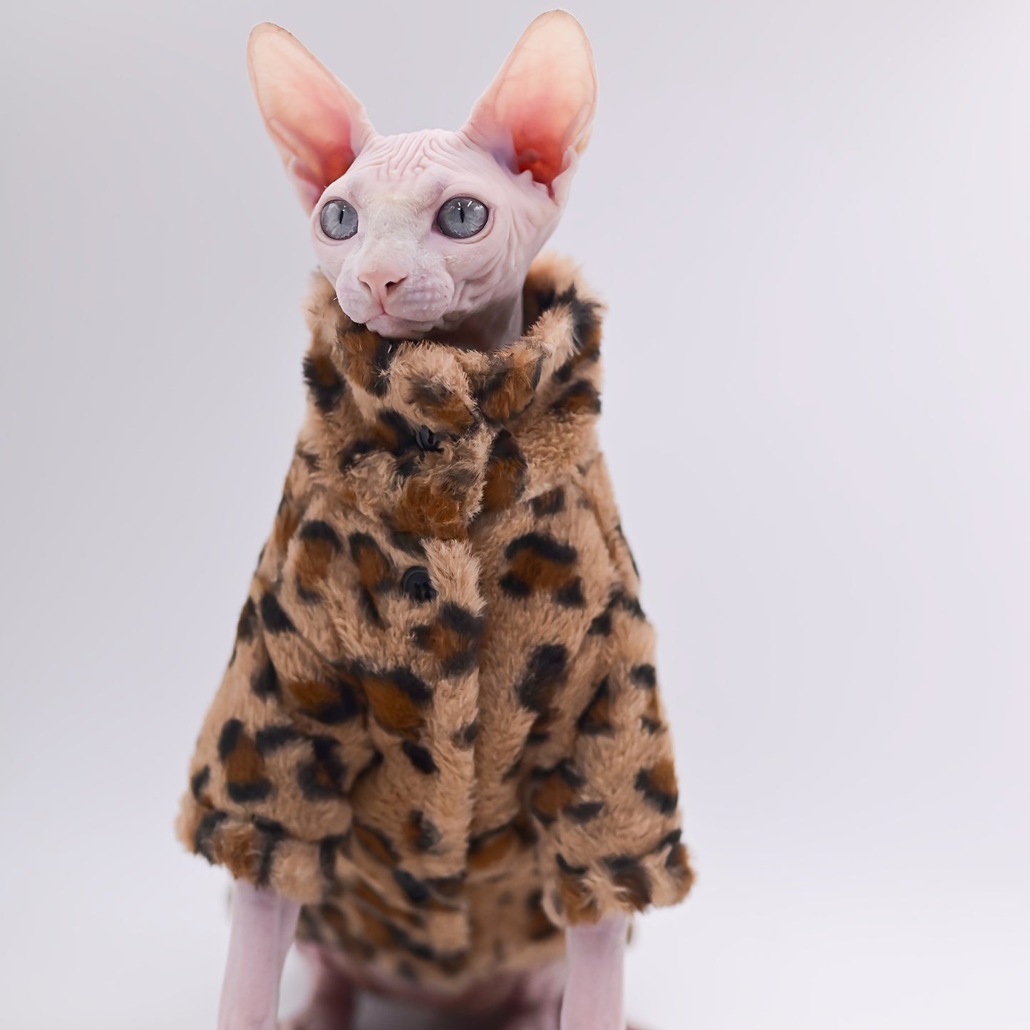 Manteau Léopard Doublé pour Chats Sans Poils – Duomasumi