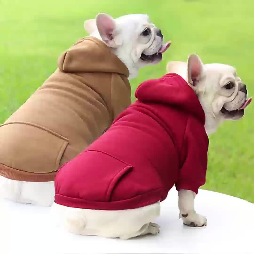 Sweat à Capuche Uni pour Chiens et Chats – Pull Hiver Doublé Polaire