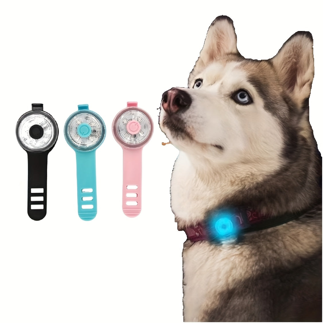 Médaille de Lumière de sécurité LED pour collier de Chien