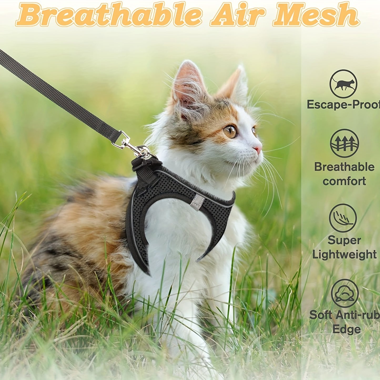 Harnais pour Chat Anti-Fuite avec Laisse