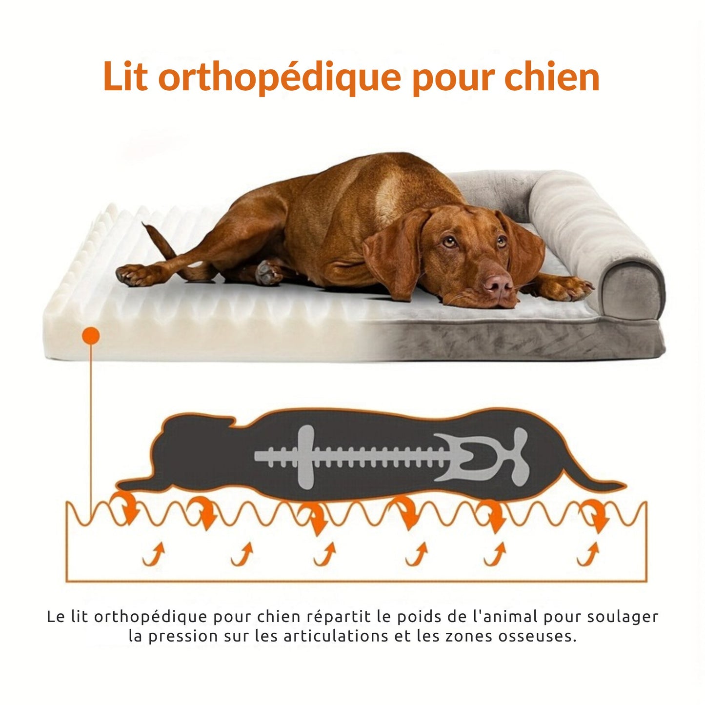 Canapé Orthopédique Gris à Mousse avec Rebord pour Chien
