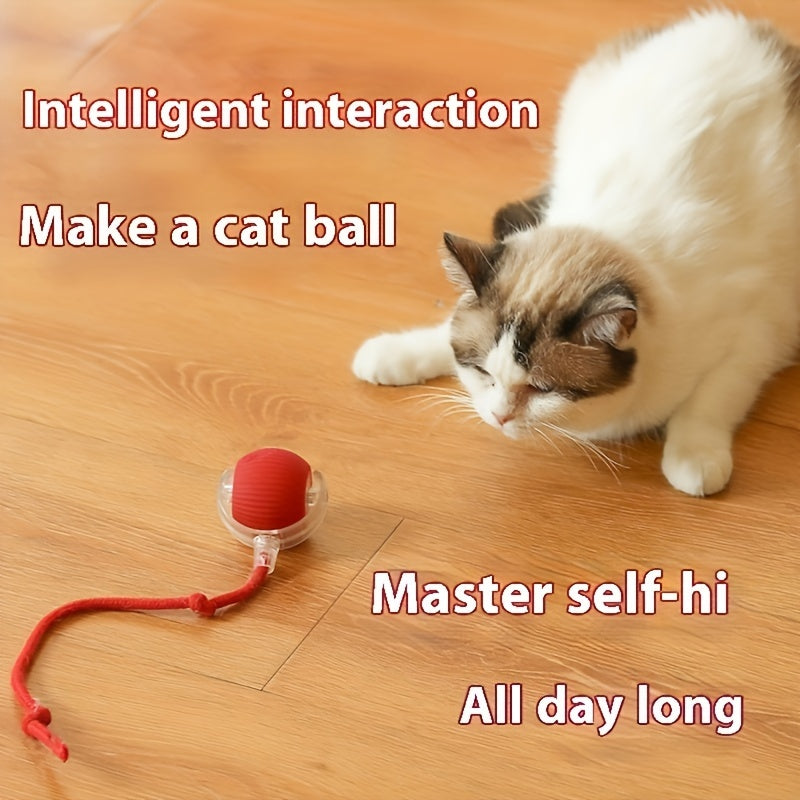 Balle Interactive Électrique pour Chat avec Corde et Modes Lumineux